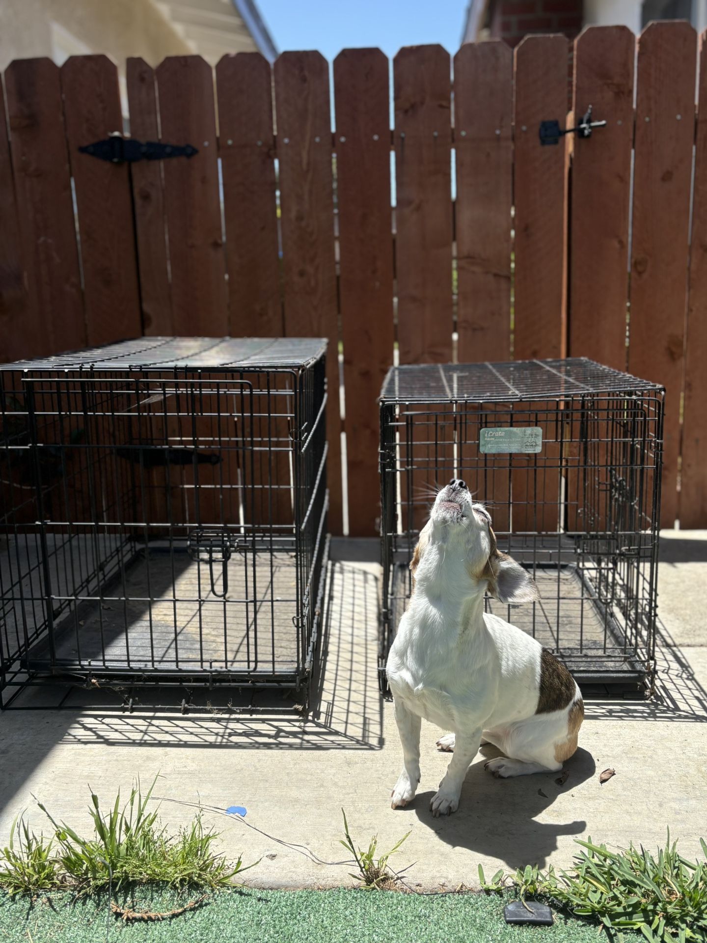 Dog Crate (small & XS)