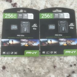 PNY 256 GB Memory Card