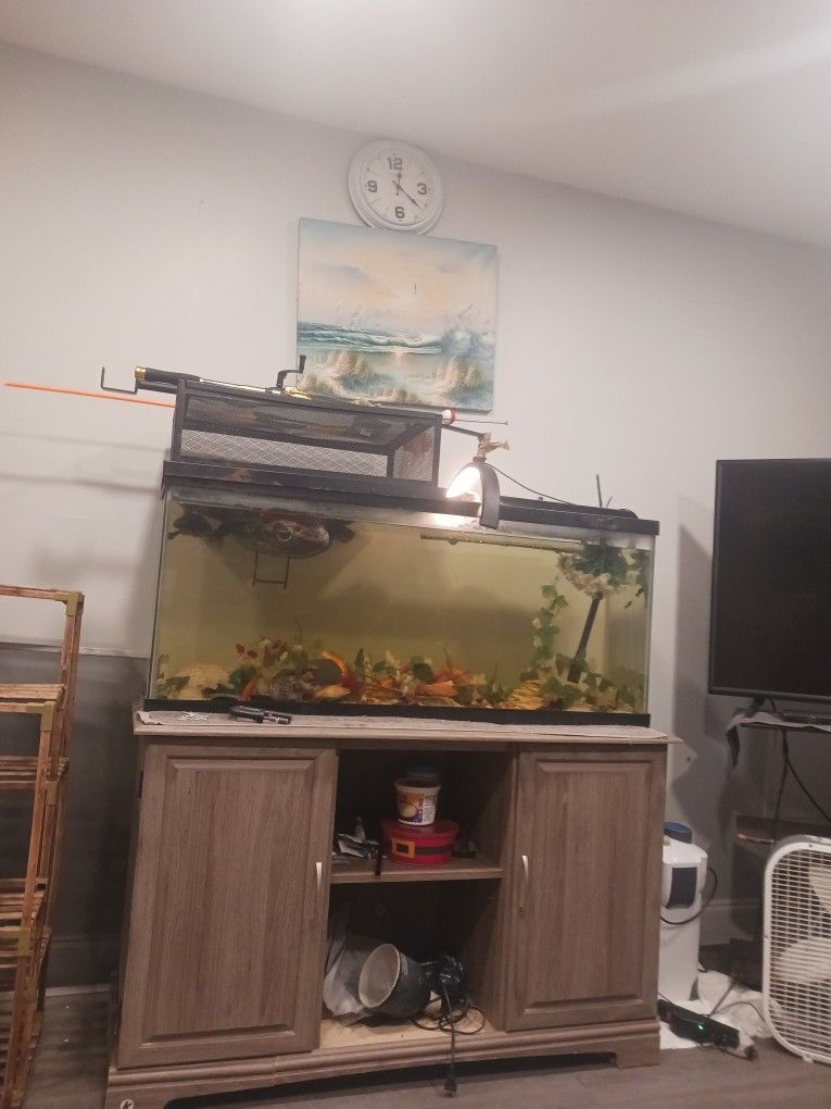 Used Fish Tank With Fish Filter All The Insides The Decorations Everything $90 Or