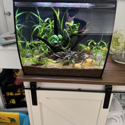 Fluval Flex 9 Planted Aquarium