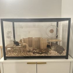 Buctstate Enclosure w/ Supplies