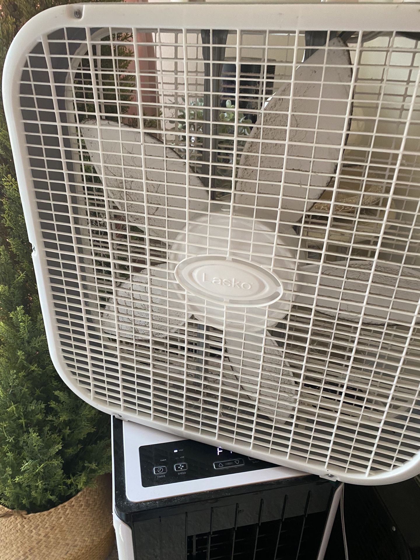 Fan