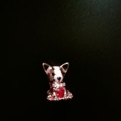 Pandora Puppy Charm New
