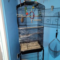 Free Bird CAGE 