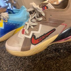 Nike Space Jam X LeBron 18 Low