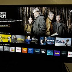 Vizio Tv