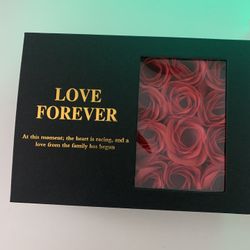 Earrings  Valentine Day Gift 