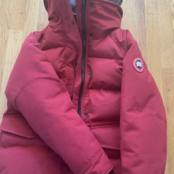 Canada Goose (small)