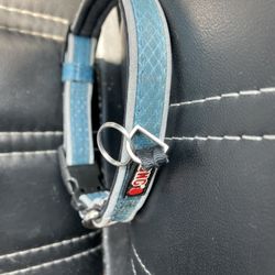 Assorted Dog Collars