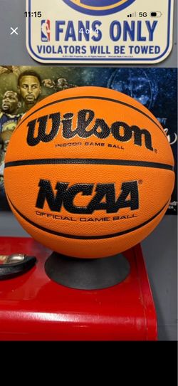 Wilson Evo basketball