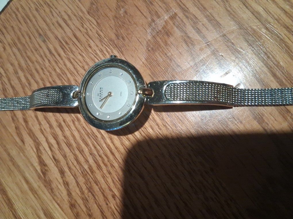 Watch Skagen women’s stainless steel and Silver Tone mesh with adjustable strap Rare.