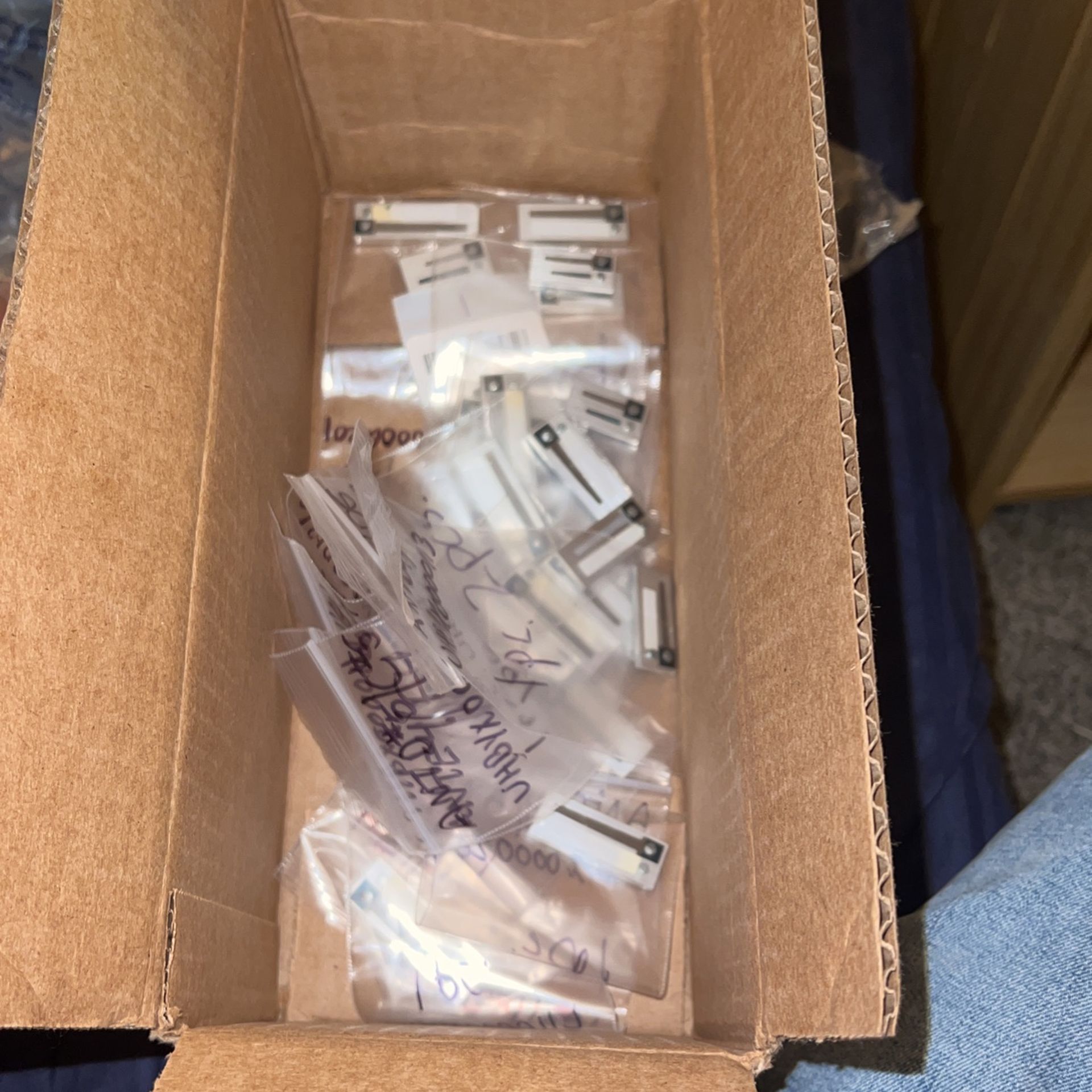 Hohner Anacleto Reeds