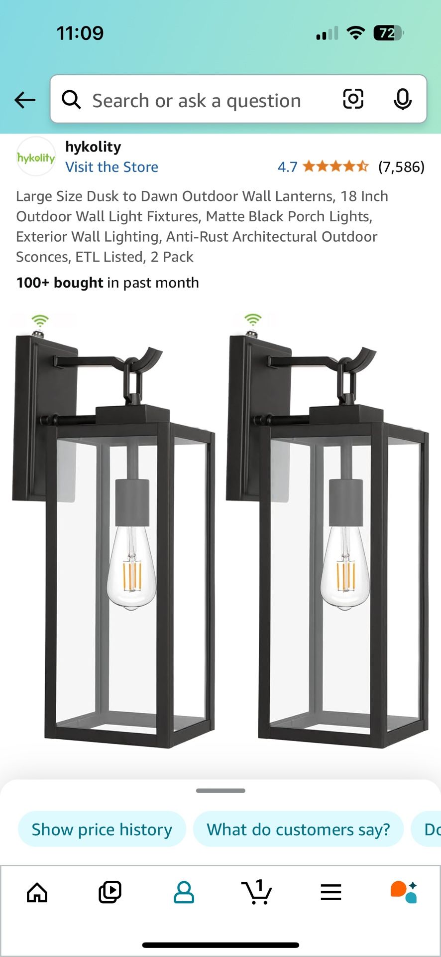Outdoor Wall Lantern (3)