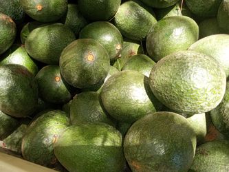 Reed avocado 9 full bins