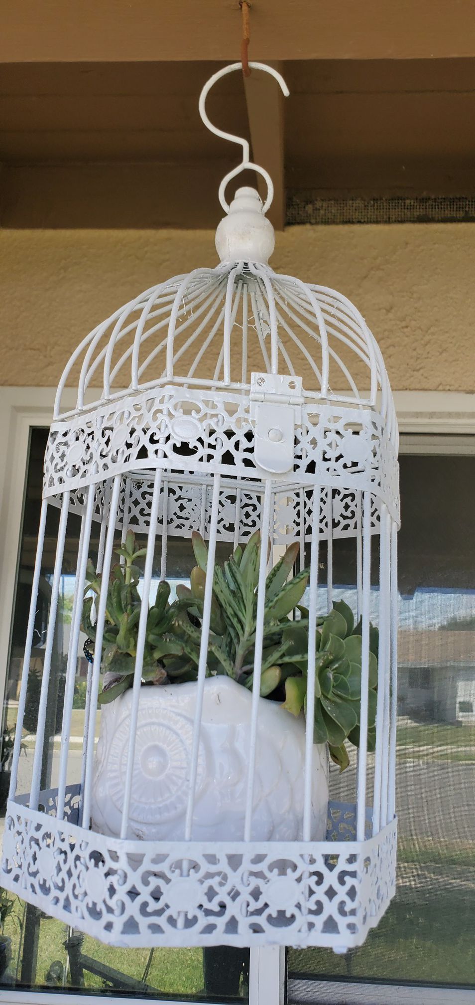 2pc metal hanging bird cage and owl planter packed with succullents