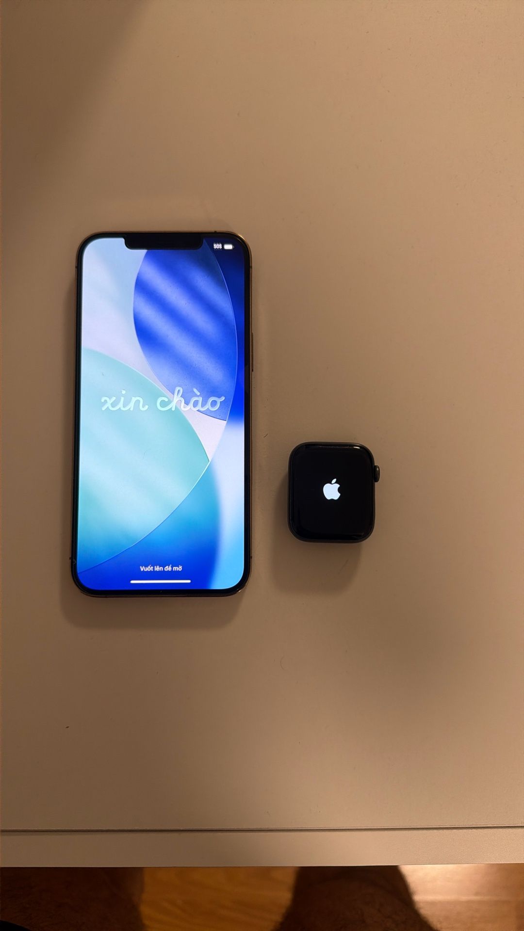 iPhone 12 Max Pro + Apple Watch