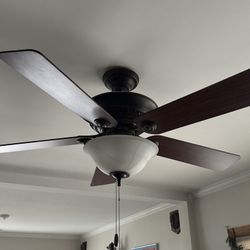 Hunter Ceiling Fan With Lights