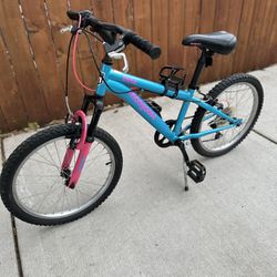 20 Inch Mountain Bike $50