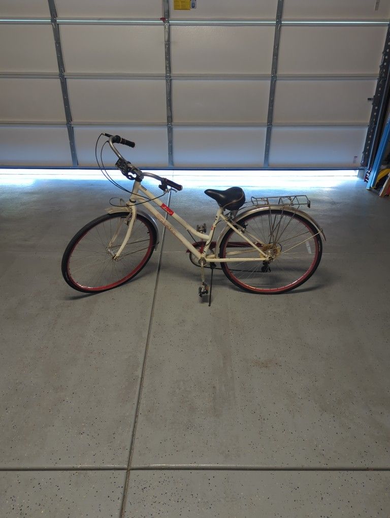 Schwinn Cruiser