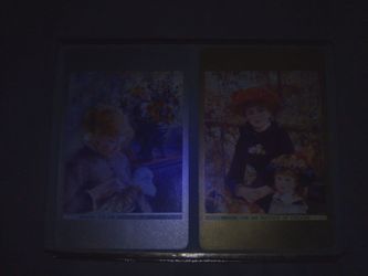 Renoir Art Institute of Chicago Congress Playing Cards 2 Decks