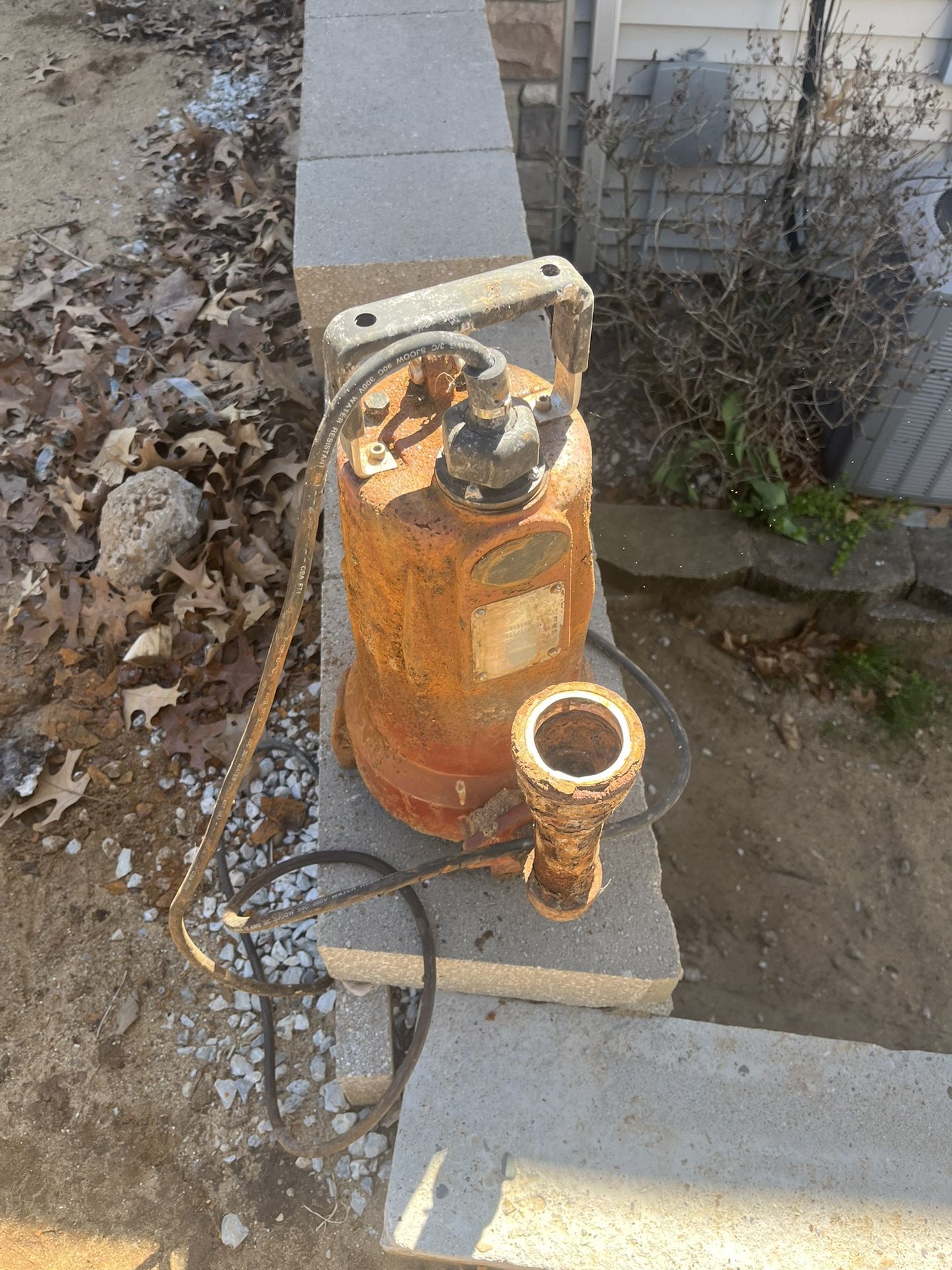 Liberty Septic System 2 Hp Omnivore Pump