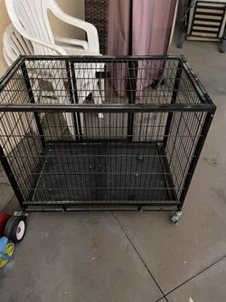 Dog Kennel 