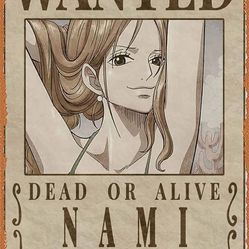One Piece - Nami Metal Signs Nami Bounty Animation For Home Coffee Movie Art Vintage Tin Sign