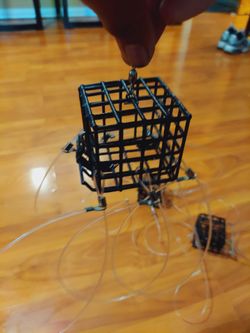 Crab trap bait snares