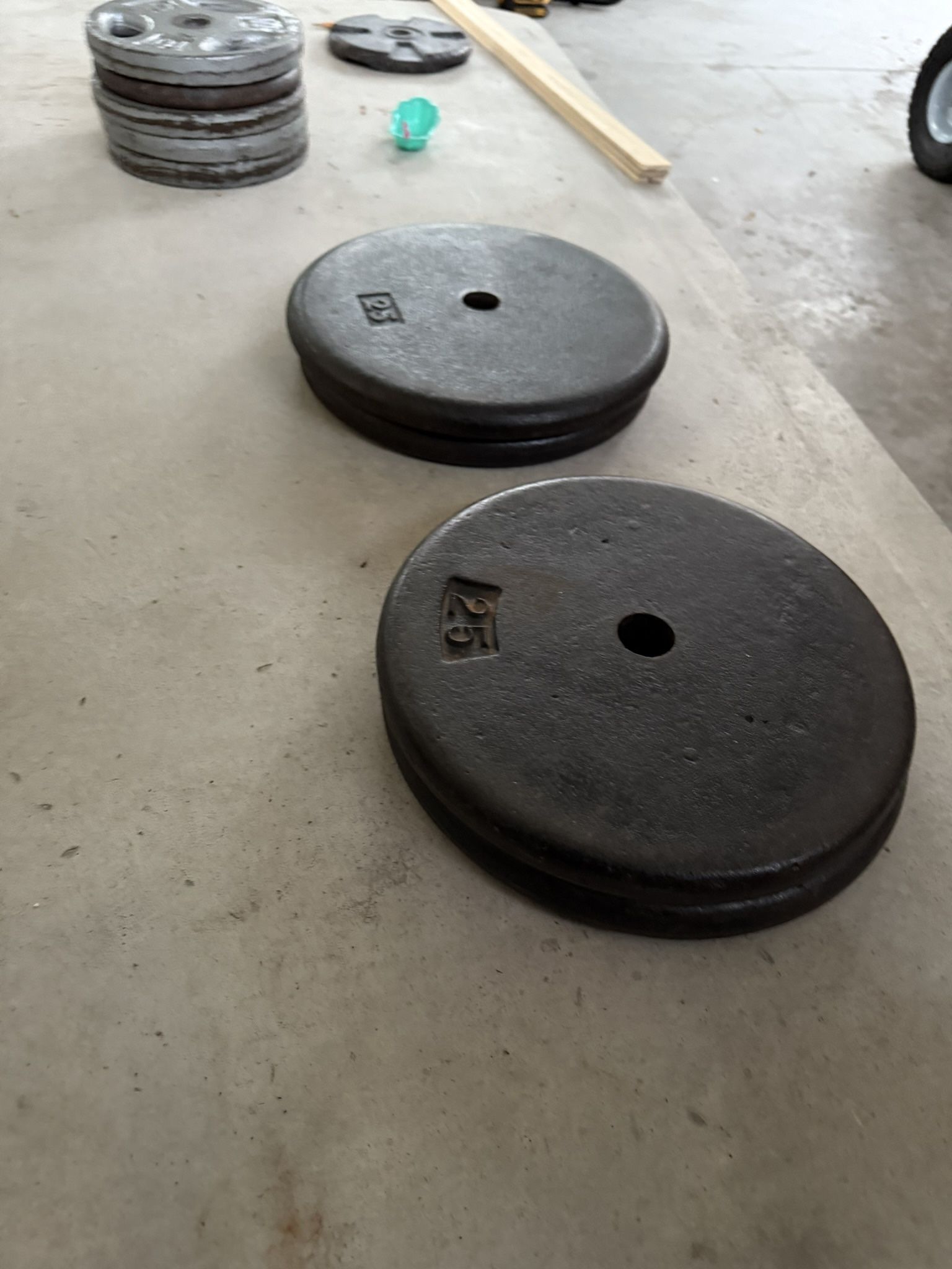 Standard Weights 25lbs