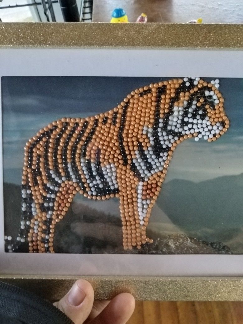Diamond Painting Done By Me