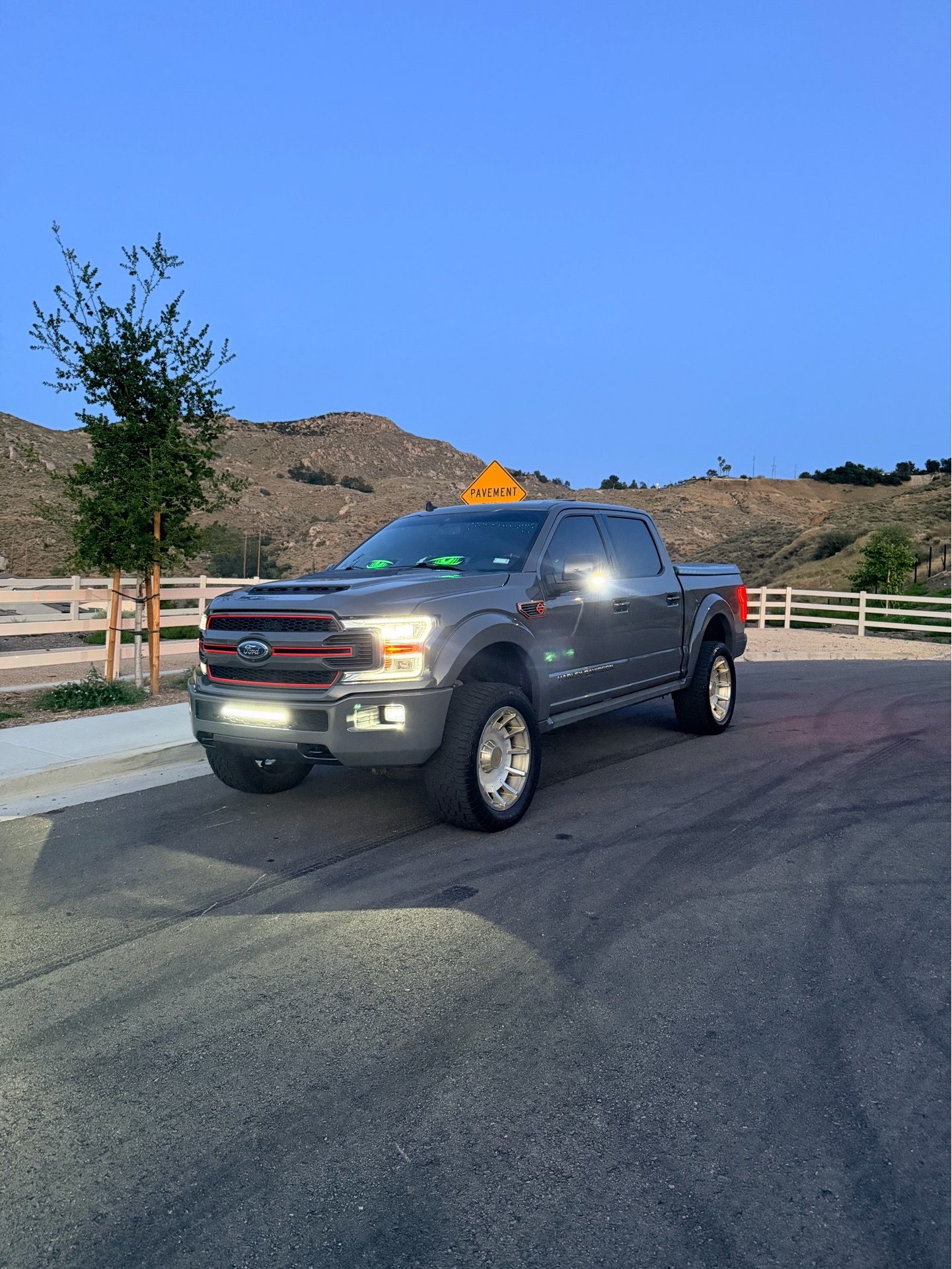 2019 Harley Davidson F150