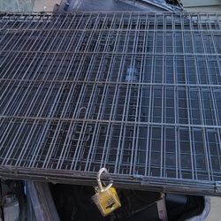 Dog Crate