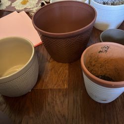 assorted plant pots 