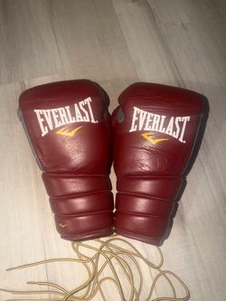 Everlast Protex3 10oz