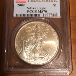 2009 Silver Eagle 