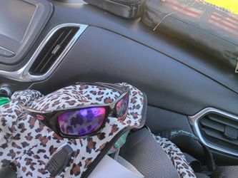 Oakley Sunglasses Black Frame Purple Lens