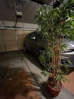 Fake bamboo tree