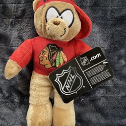 Chicago, Blackhawks Hockey Nhl Stuffed Bear