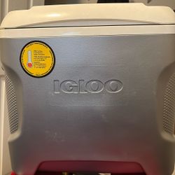 Igloo Iceless Cooler