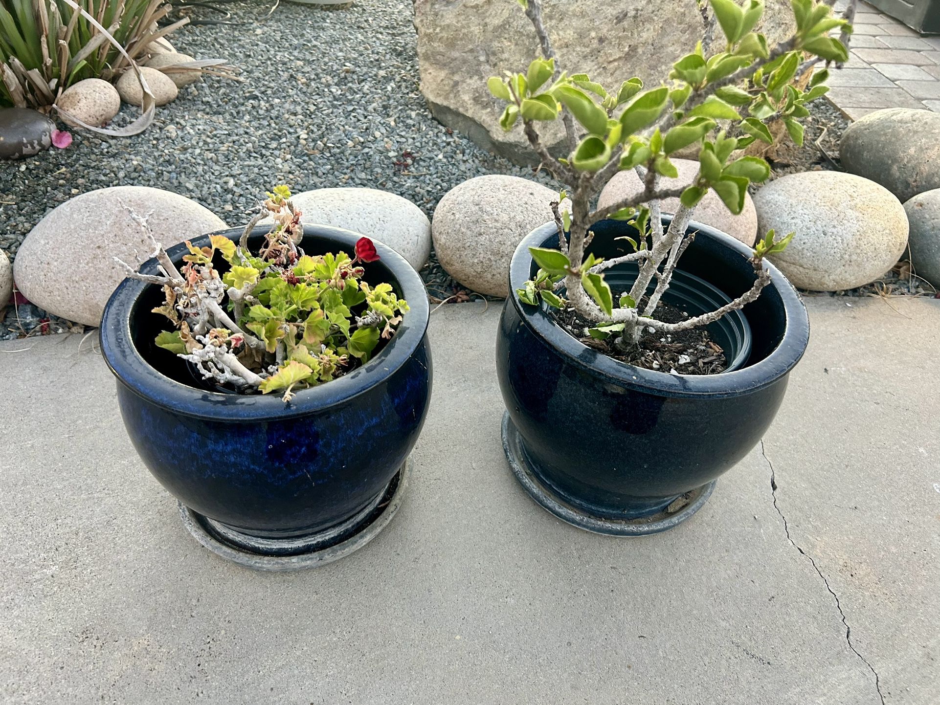 2 Ceramic Flower Pots