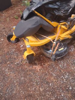 Cub cadet