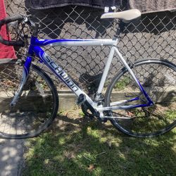 Schwinn Classic 