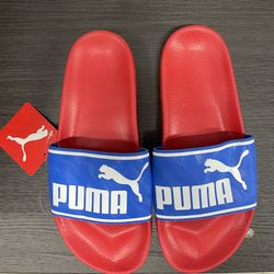 Puma Slides 
