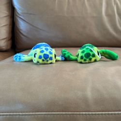 Turtles 