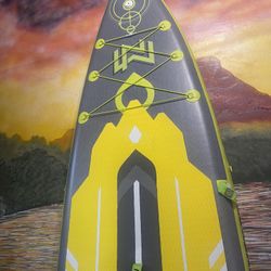 Paddleboard Paddle Board 