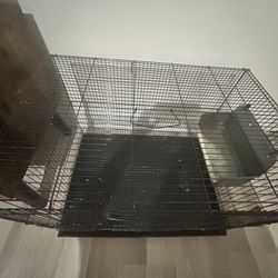 Bird Cage