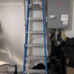 Barely Used Werner Ladder 