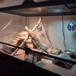 Reptile Tank 40 gallon