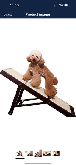 Dog ramp