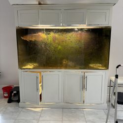 Giant Fish Tank 